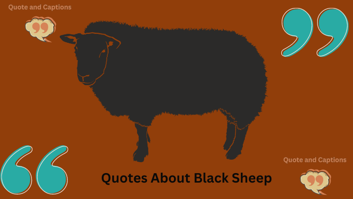 quotes about black sheep