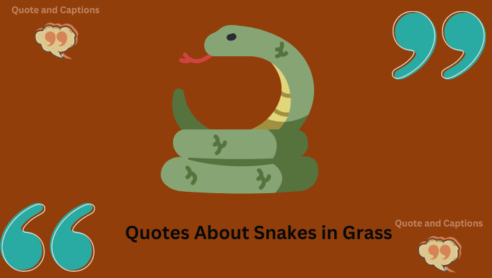 quotes about snakes in grass