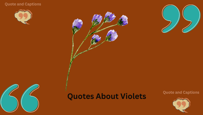 quotes about violets