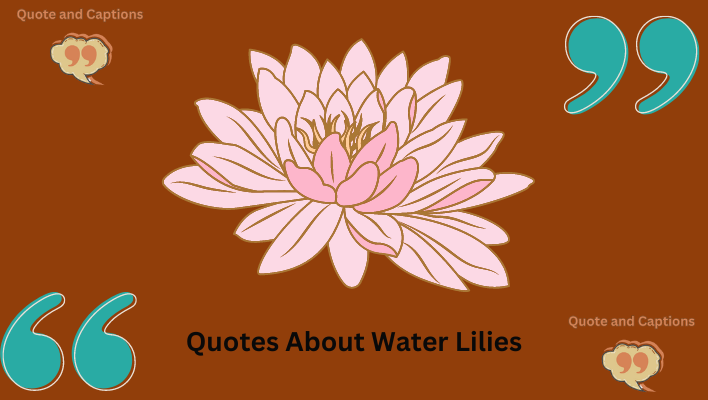 quotes about water lilies