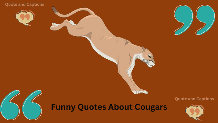 funny quotes about cougars