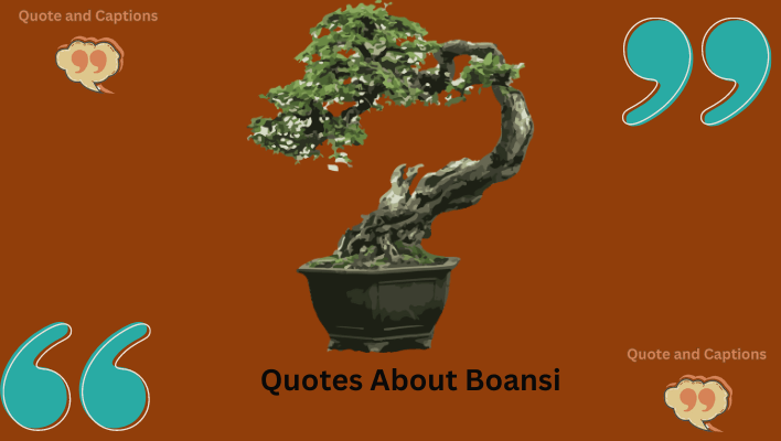 quotes about bonsai