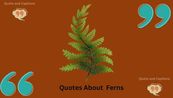 quotes about ferns
