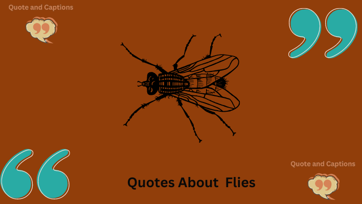 quotes about flies