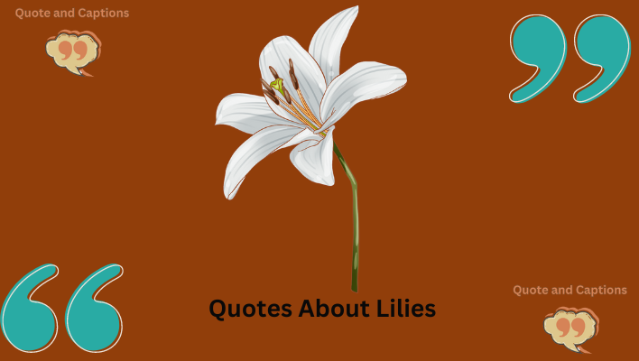 quotes about lilies