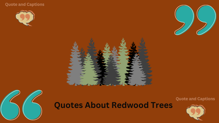 quotes about redwood trees