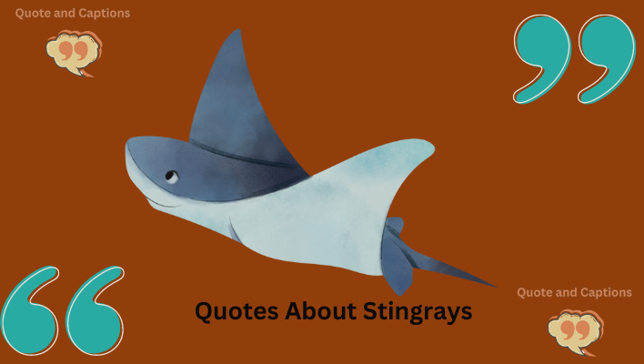 quotes about stingrays