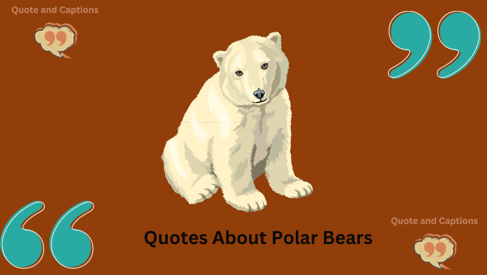 quotes about polar bears