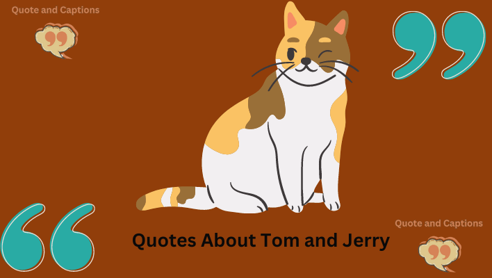 quotes about tom and jerry