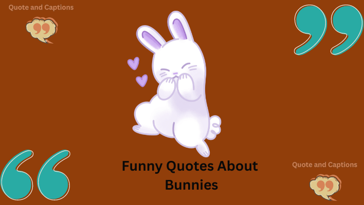 funny quotes about bunnies