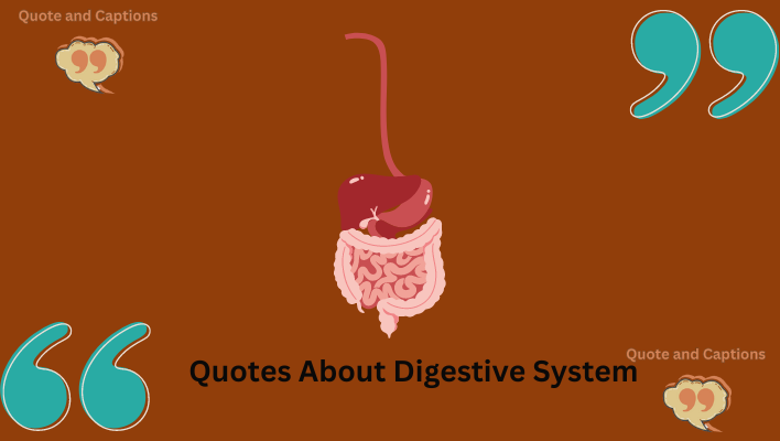 quotes about digestive system