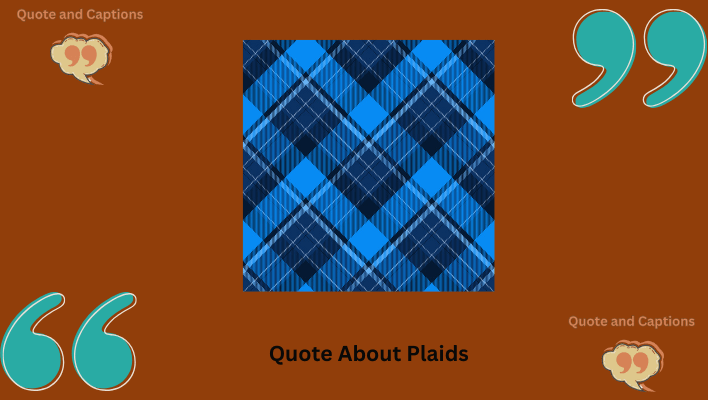 quotes about plaid