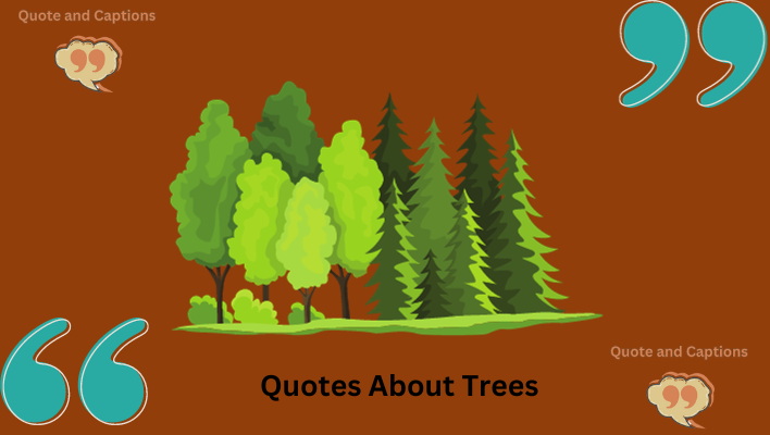 funny quotes about trees