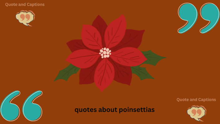 quotes about poinsettias